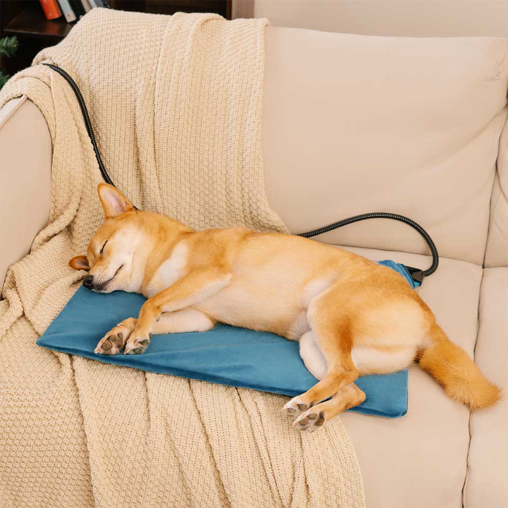 Waterproof＆Chewproof Electrical Pet Heated Pad - Safe Warmth