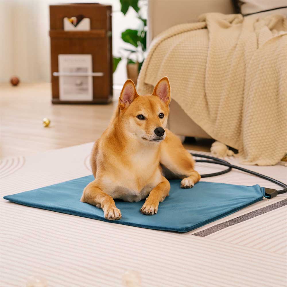 Waterproof＆Chewproof Electrical Pet Heated Pad - Safe Warmth