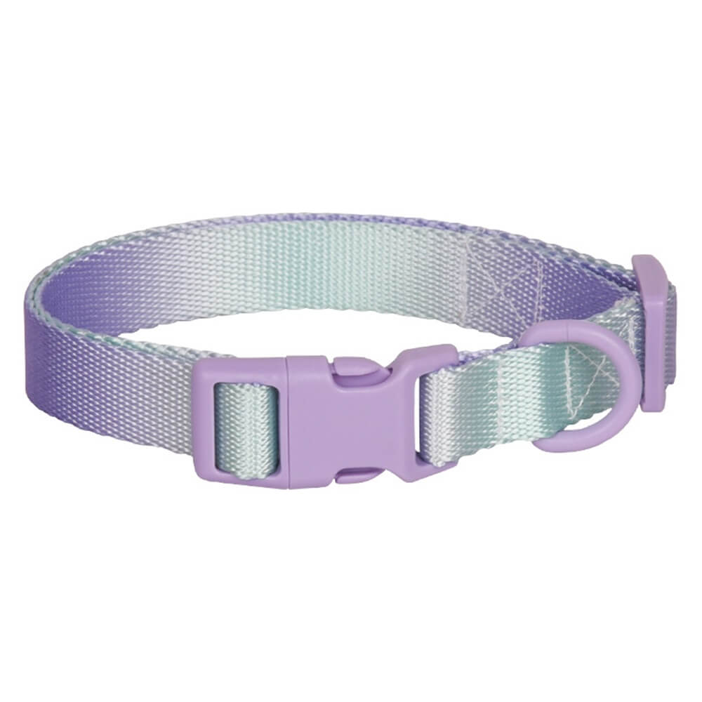 Macaroon Buckle Gradient Nylon Adjustable Dog Collar and Leash