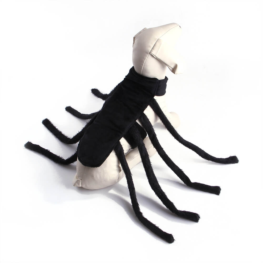 Funny Spider Halloween Pet Toy  Dog and Cats Costume