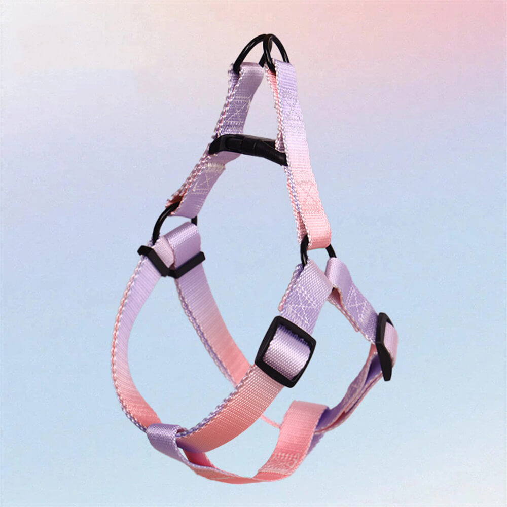 Colorful Gradient Dog Traction Rope and Chest Harness - Anti-Breakaway Design