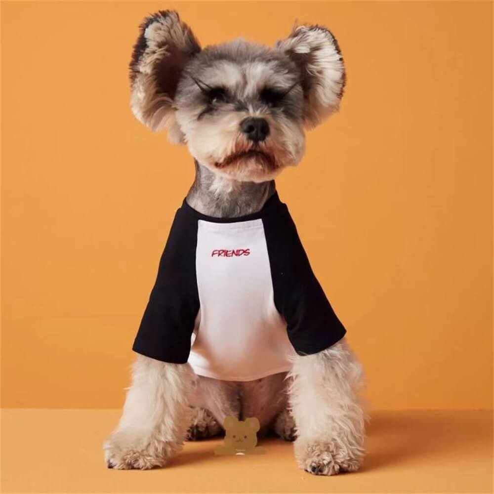 Pet dog clothes embroidery fashion color matching T-shirt