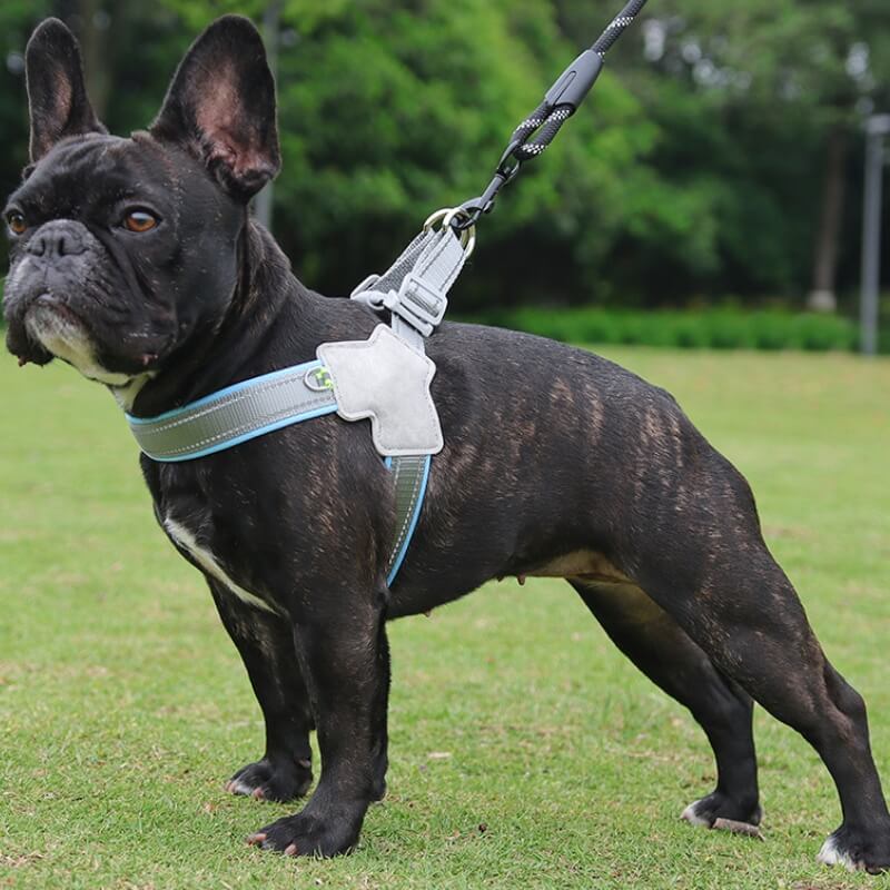 Adjustable Dog Chest Harness