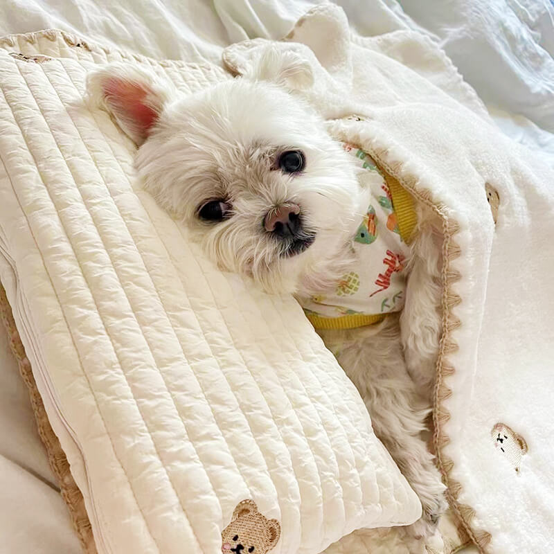 Cosy Embroidered Cotton Pet Pillow Quilt Bed Set