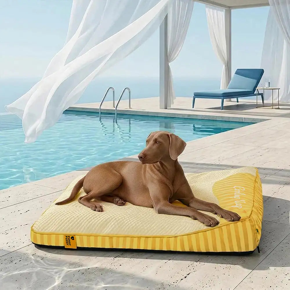 Large Washable Cooling Non-slip Outdoor Dog Mat - Cooling Nap