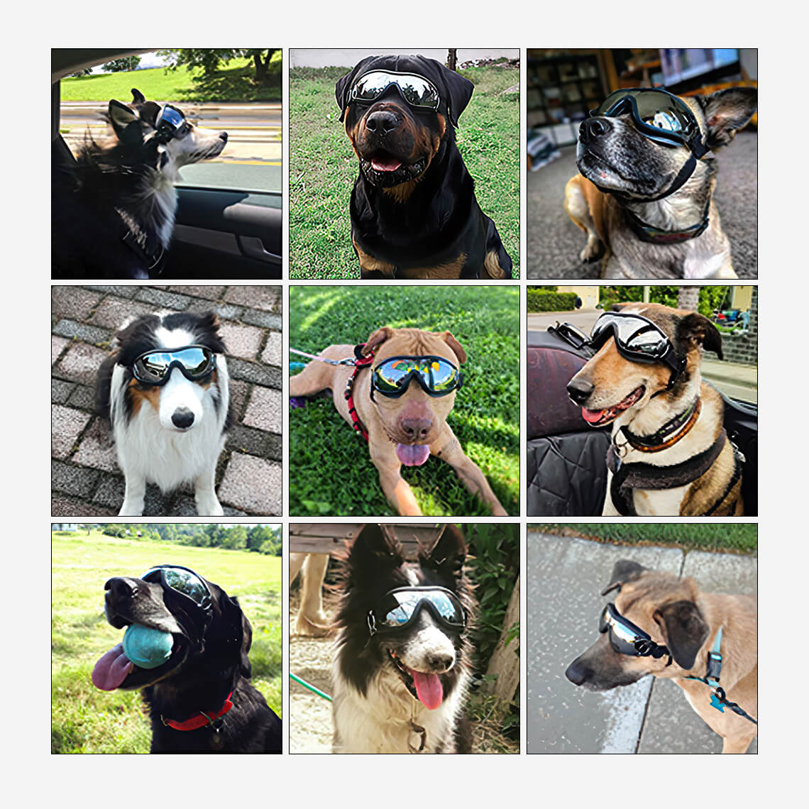 Goggles For Big Cool Dog Accessories